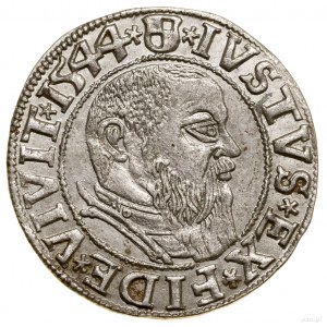 Grosz, 1544, Królewiec; szeroka broda władcy, końcówka ...