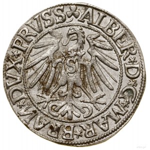 Grosz, 1544, Królewiec; szeroka broda władcy, końcówka ...