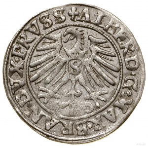 Grosz, 1550, Królewiec; końcówka napisu PRVSS; Kop. 379...