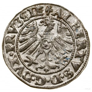 Szeląg, 1550, Królewiec; Kop. 3761 (R), Neumann 48, Slg...