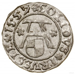 Shelag, 1557, Königsberg; Kop. 3767 (R1), Neumann 48, Sl...