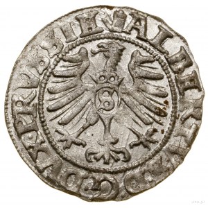 Shelag, 1557, Königsberg; Kop. 3767 (R1), Neumann 48, Sl...