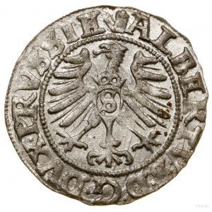 Szeląg, 1557, Królewiec; Kop. 3767 (R1), Neumann 48, Sl...