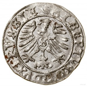 Shell, 1558, Königsberg; in the obverse legend ALBERTVS; K....