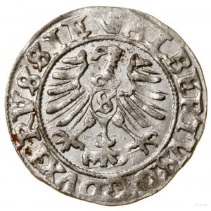 Szeląg, 1558, Królewiec; w legendzie awersu ALBERTVS; K...