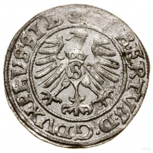 Szeląg, 1559, Królewiec; Kop. 3769 (R), Neumann 48, Slg...