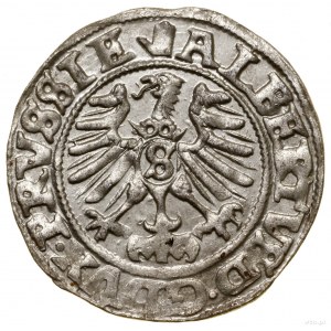 Szeląg, 1559, Królewiec; Kop. 3769 (R), Neumann 48, Slg...