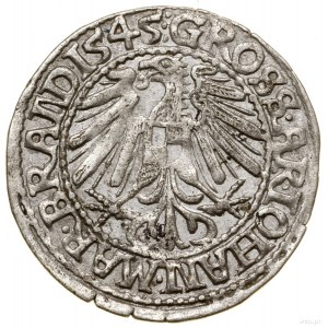Grosz, 1545, Krosno; w legendzie awersu BRANDEN ET STE,...