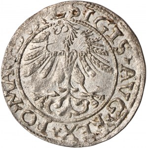 Sigismund II August, 1/2 Groschen Vilnius 1561 - L/LITV