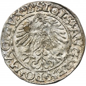 Sigismund II August, 1/2 Groschen Vilnius 1561 - L/LITV