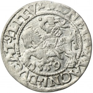 Sigismund II August, 1/2 Groschen Vilnius 1559 - L/LITV