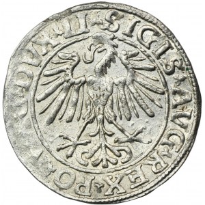 Sigismund II August, 1/2 Groschen Vilnius 1548 - LI/LITVA