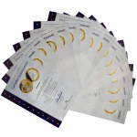 Set, Common Currency of Euro Zone Countries (16 pcs.)