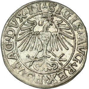 Sigismund II August, 1/2 Groschen Vilnius 1548 - LI/LITVA