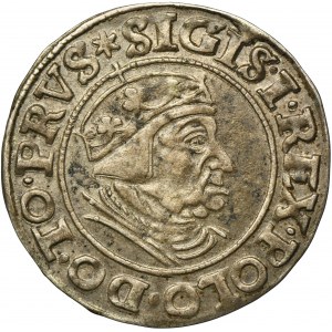 Sigismund I the Old, Groschen Danzig 1539 - PRVS