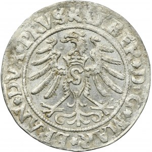Duchy of Prussia, Albert Hohenzollern, Groschen Königsberg 1531 - PRVS