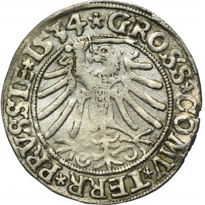 Sigismund I the Old, Groschen Thorn 1534 - PRVSSI/PRVSSIE