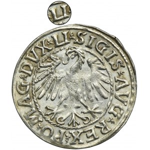 Zygmunt II August, Półgrosz Wilno 1546 - LI/LITV - RZADKI