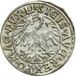 Sigismund II August, 1/2 Groschen Vilnius 1546 - LI/LITV - RARE