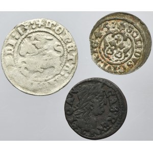 Set, Lithuania and Riga under Swedish rule, Sigismund I, John II Casimir and Christina, Schilling and Halfgroat (3 pcs.)