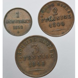 Set, Germany, Principality of Oldenburg-Birkenfeld, Paul Friedrich August, 1 Schwaren, 2 Pfennig and 3 Pfennig (3 szt.) - ex. Dr. Max Blaschegg