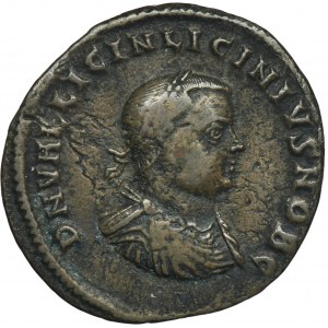 Roman Imperial, Licinius II, Follis