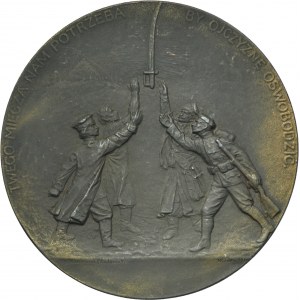 Medal Tadeusz Kościuszko for the hundredth anniversary of death 1917 - CAST
