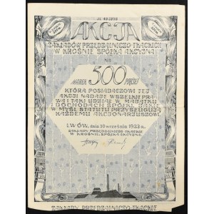 Zakłady Przędzalniczo-Tkackie w Krośnie S.A., 500 mkp 1923, Issue V