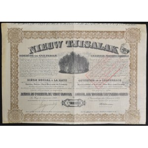 Indonesien/Niederlande, Nieuw Tjisalak - Cultur Maatschappij, Aktion 20 Gulden, Den Haag 1927