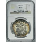 USA, 1 Dollar Philladelphia 1886 - Morgan - NGC MS62