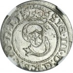 Zygmunt III Waza, Szeląg Ryga 1595 - NGC MS66