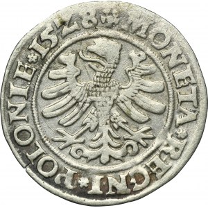 Sigismund I the Old, Groschen Krakau 1528 - VERY RARE