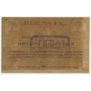 Kraków, Antoni Hawełka, 1 korona 1919 - RZADKI