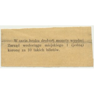 Cracow, Municipal Waterworks Board, 10 haler 1918 - rare