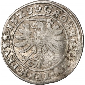 Zygmunt I Stary, Grosz Toruń 1529 - BARDZO RZADKI, SIGIS REX