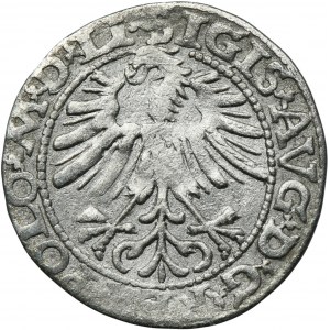 Zygmunt II August, Półgrosz Wilno 1563 - LI/LITVA