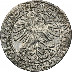 Zygmunt II August, Półgrosz Wilno 1564 - LI/LITV
