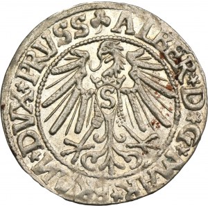 Duchy of Prussia, Albert Hohenzollern, Groschen Königsberg 1545 - PRVSS