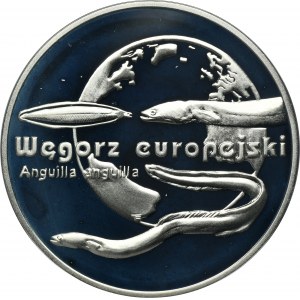 20 złotych 2003 Węgorz europejski