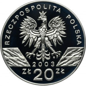 20 złotych 2003 Węgorz europejski