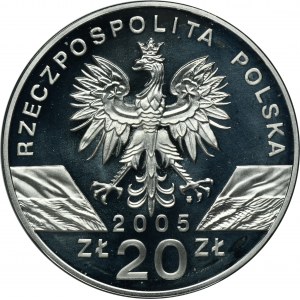 20 złotych 2005 Puchacz