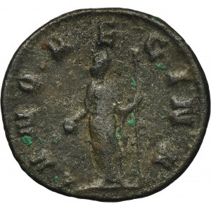 Roman Imperial, Salonina, Antoninianus