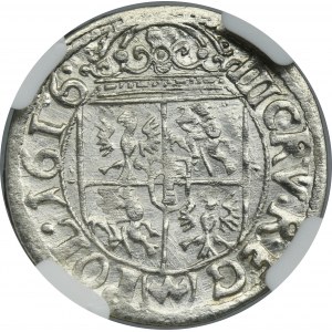 Zygmunt III Waza, 3 Krucierze Kraków 1616 - NGC UNC DETAILS