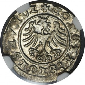 Zygmunt I Stary, Półgrosz Kraków 1508 - NGC MS62