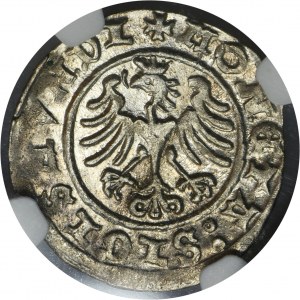 Sigismund I the Old, 1/2 Groschen Krakau 1508 - NGC MS62