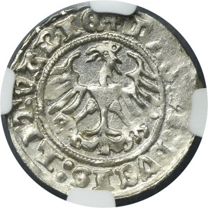 Sigismund I the Old, 1/2 Groschen Vilnius 1512 - NGC MS64