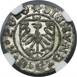 Sigismund I the Old, Schilling Danzig 1526 - NGC MS63- VERY RARE