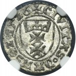 Zygmunt I Stary, Szeląg Gdańsk 1526 - NGC MS63 - BARDZO RZADKI