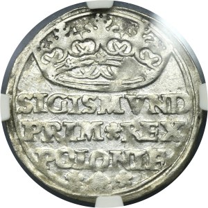 Zygmunt I Stary, Grosz Kraków 1529 - NGC MS62