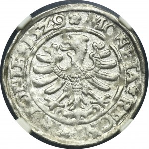 Zygmunt I Stary, Grosz Kraków 1529 - NGC MS62